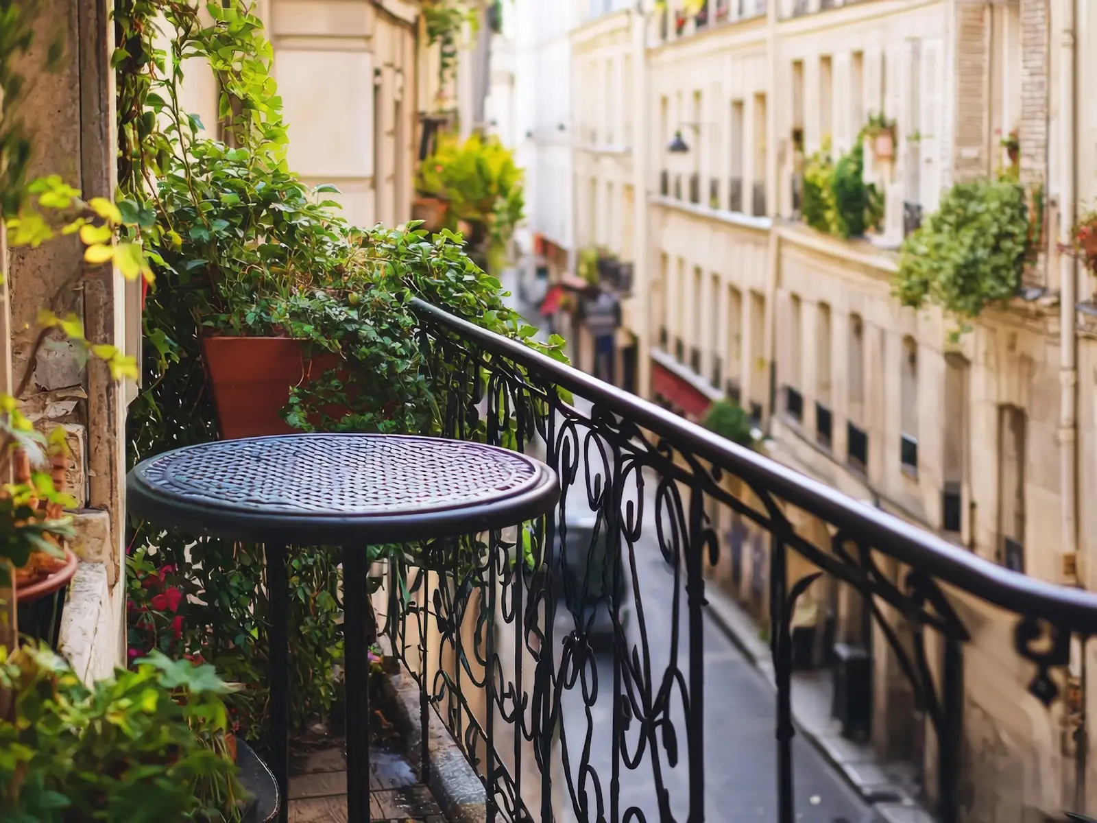 Balcon parisien fleuri