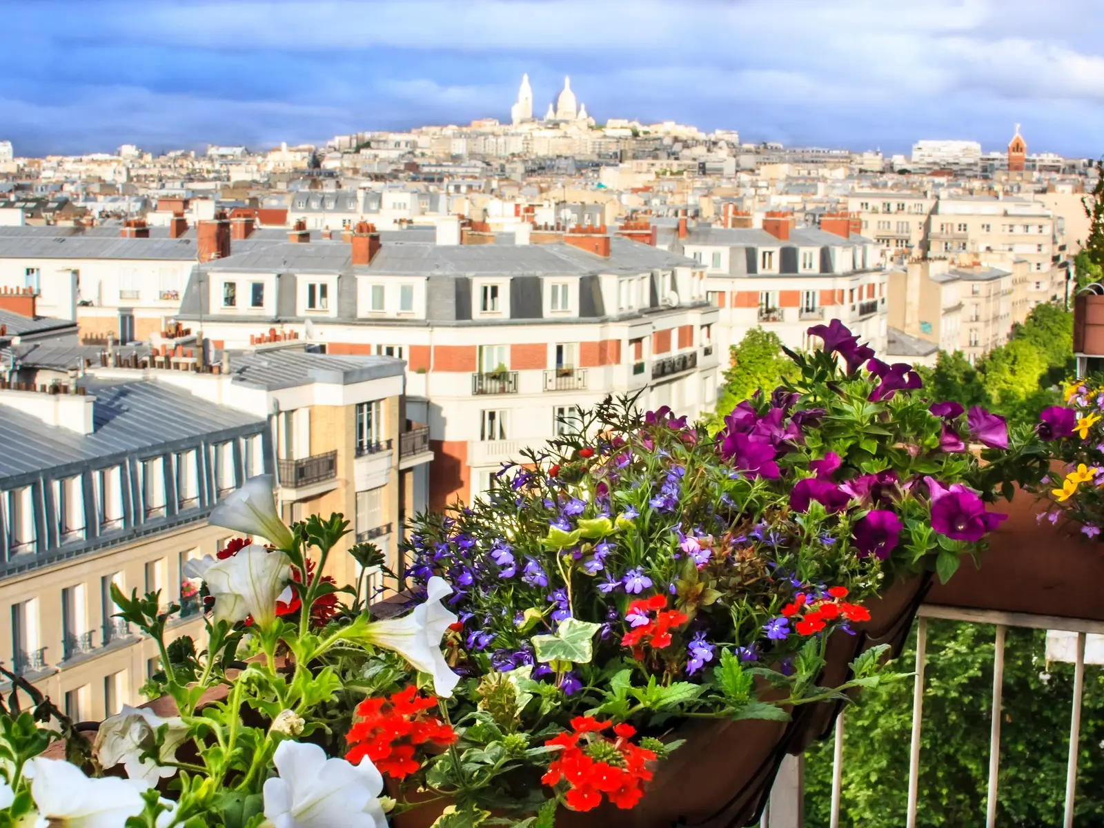 Flower-filled balcony over the Paris rooftops
