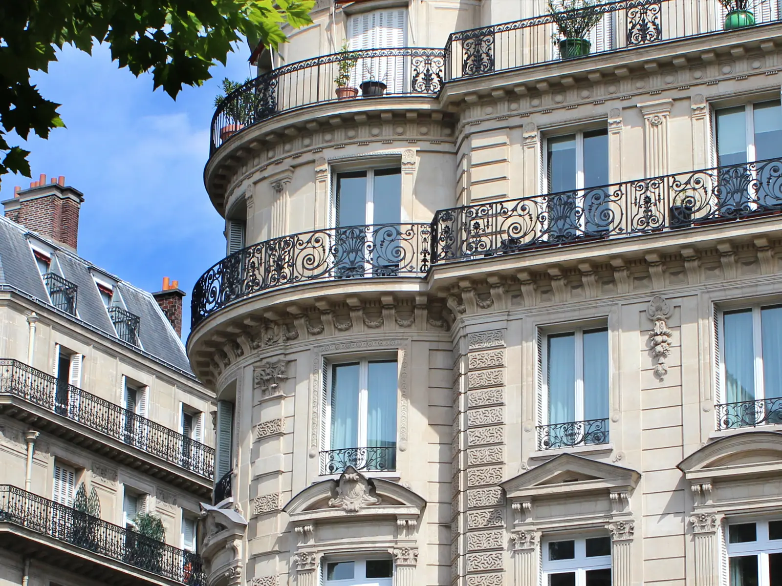 Paris façade behind a tree