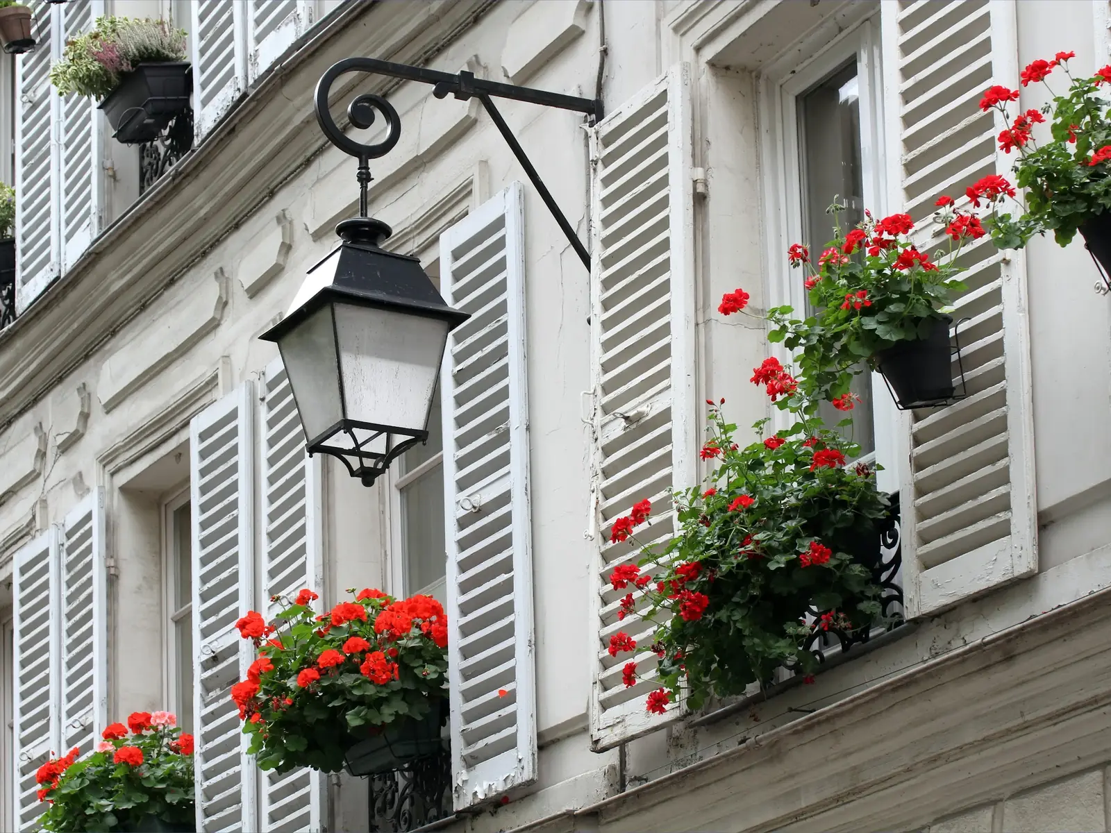 Paris window with geraniums and a lantern