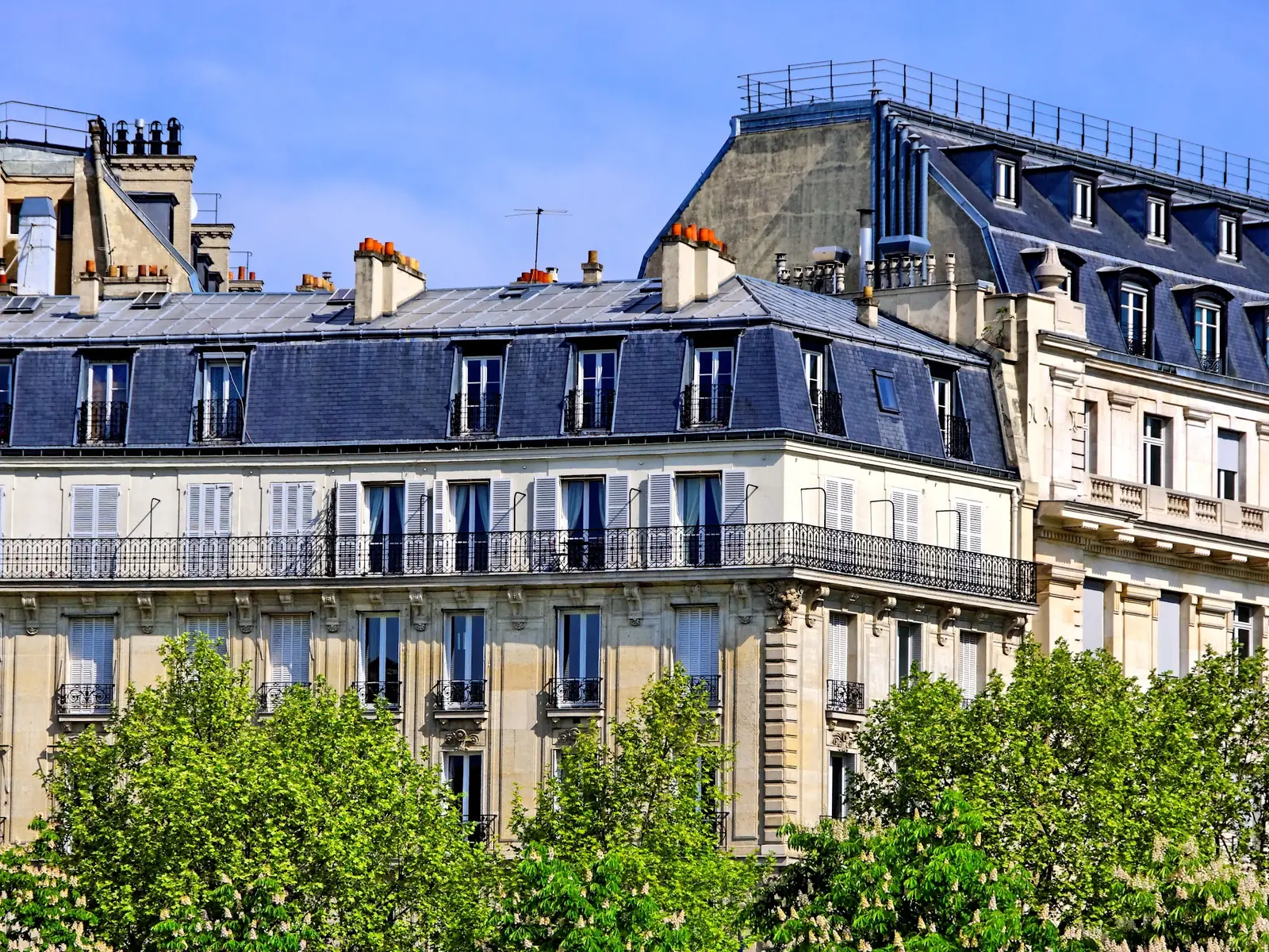 Toits mansardés de Paris et verdure