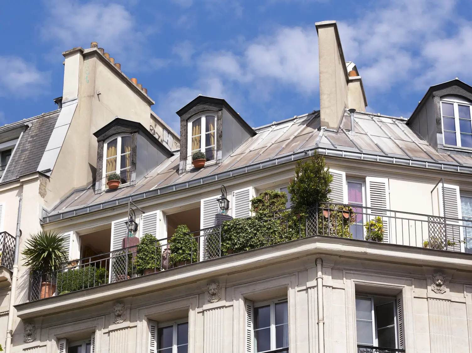 Paris mansard roofs and terraces