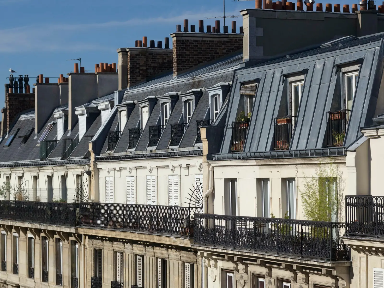 Toits de zinc et mansardes parisiennes