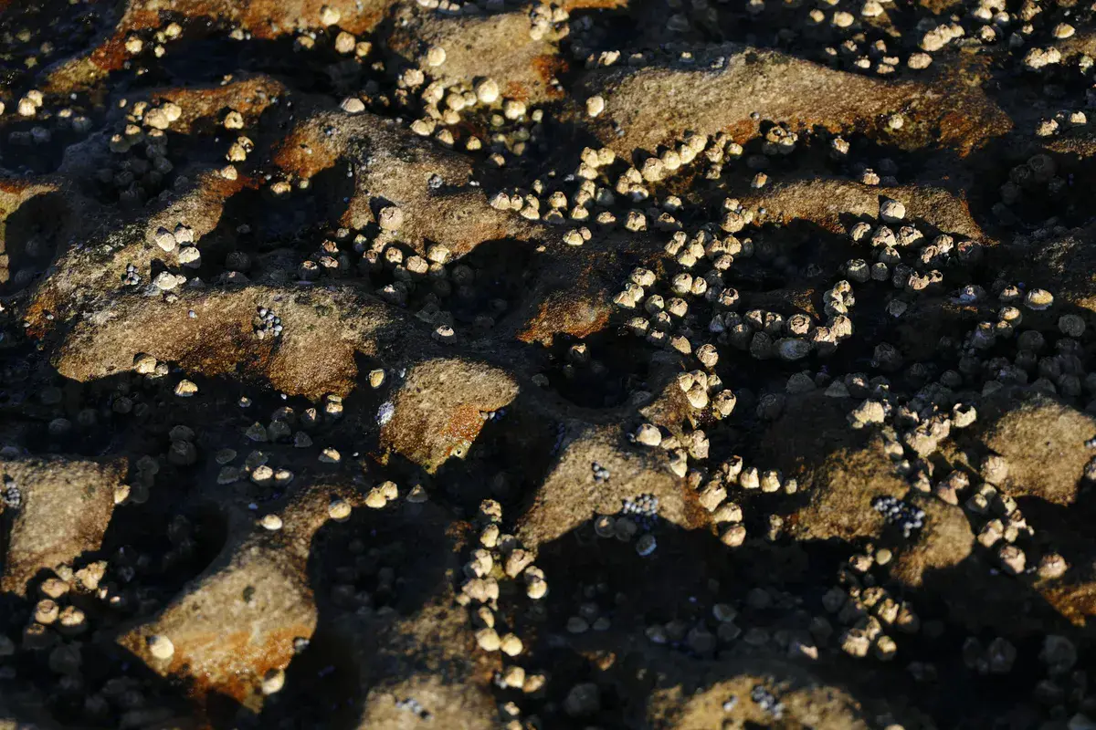 Boucle de la Marne à Saint-Maur