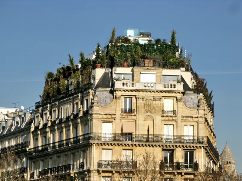 Immeuble haussmannien avec terrasse végétalisée à Paris