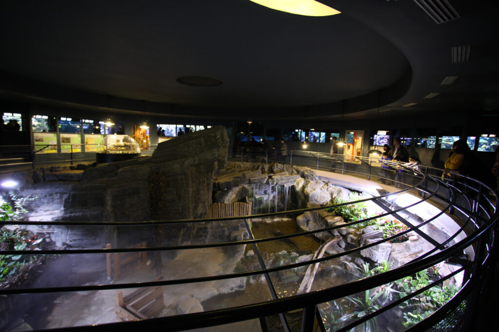 Aquarium tropical du Palais de la Porte Doree 2